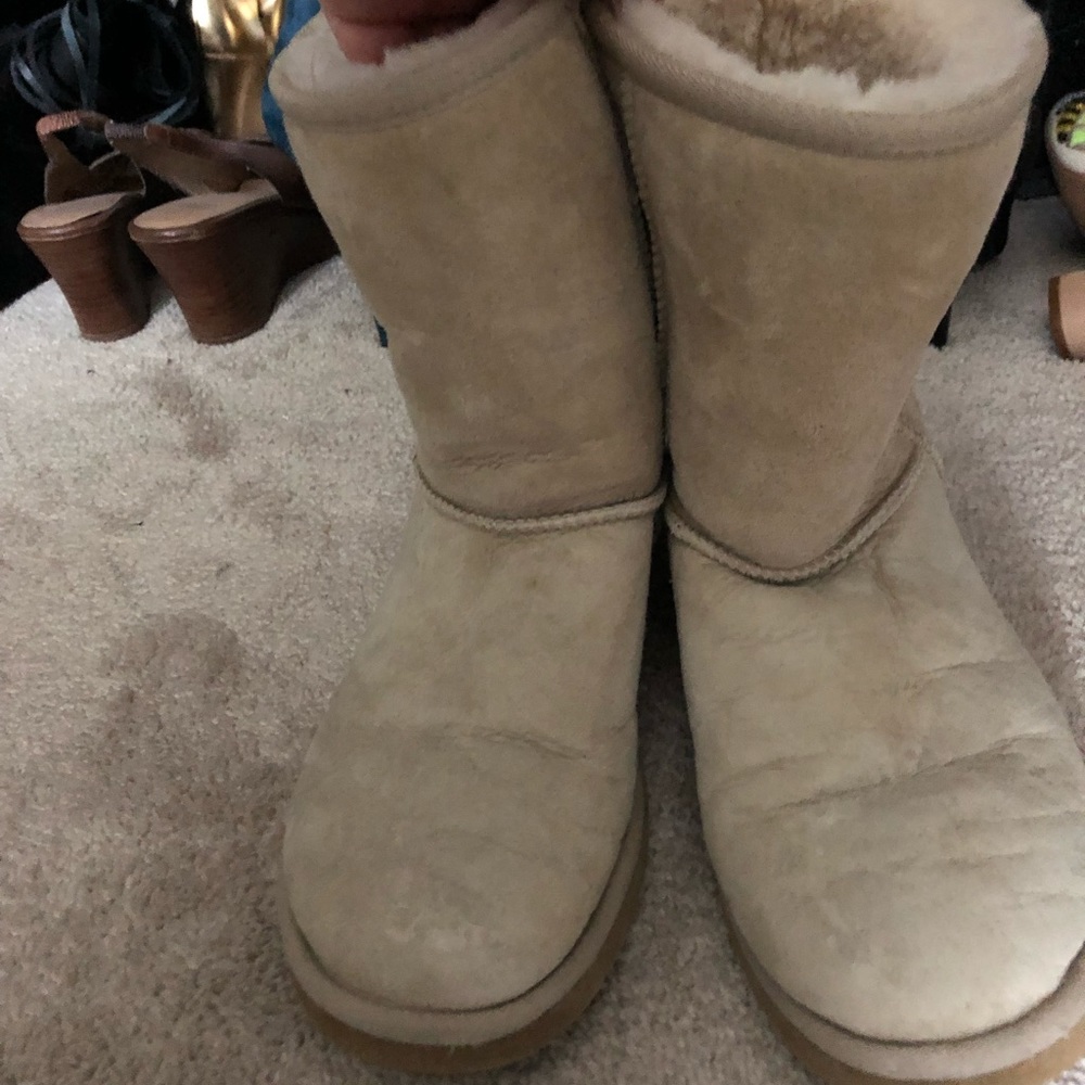 Tan Uggs